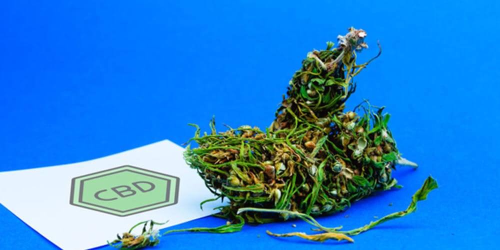 CBD: un aliado natural para el bienestar moderno 3 Una alternativa natural para el cuidado integral